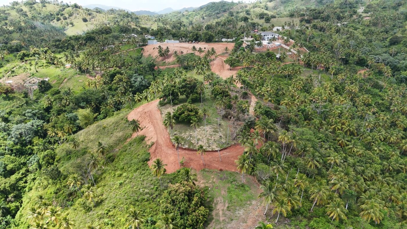 Aerial view of newly cut earth roads winding across a green hillside above the bay