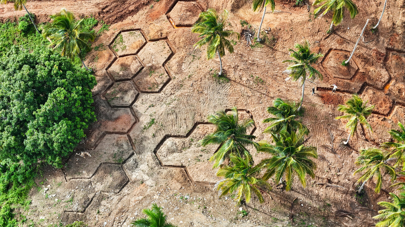 Aerial view of hexagonal gabion retaining structures set into the hillside among palms