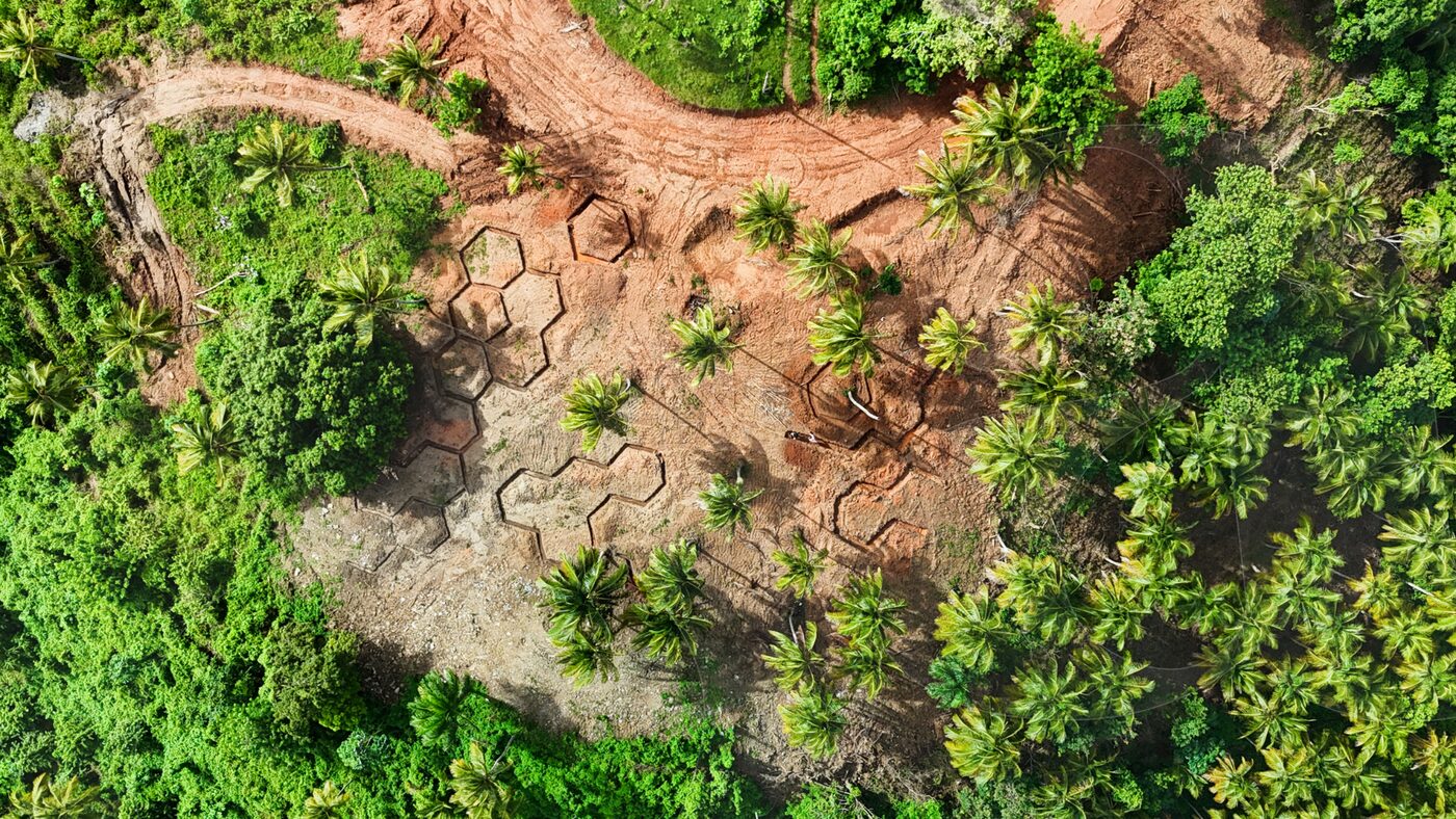 Aerial photograph of terraced building platforms cut into dense green hillside