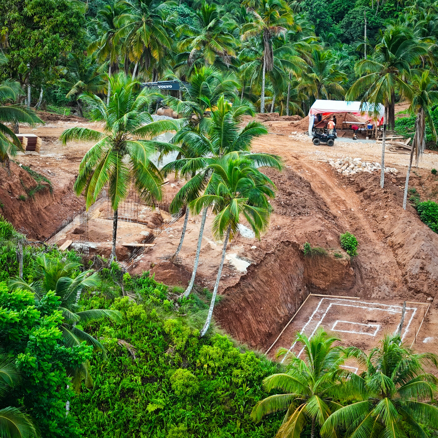 Building platforms and cut roads among palms on the Nomad City hillside