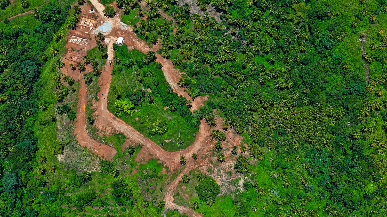 Wide aerial of the Nomad City site showing the looping internal road and cleared plots within dense green