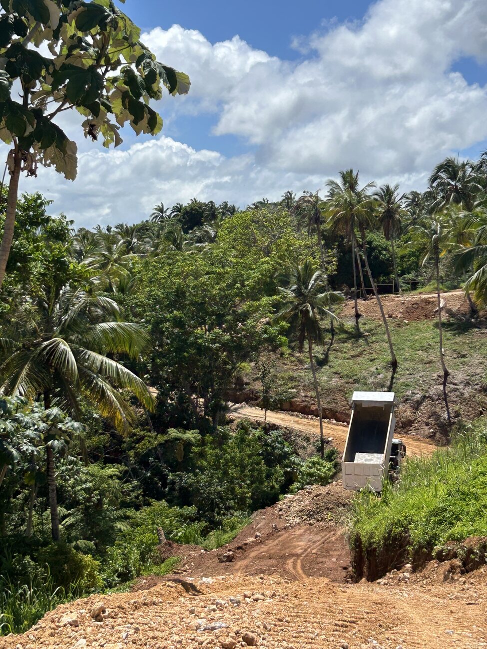 A dump truck tipping fill on a road cut climbing through dense palm forest
