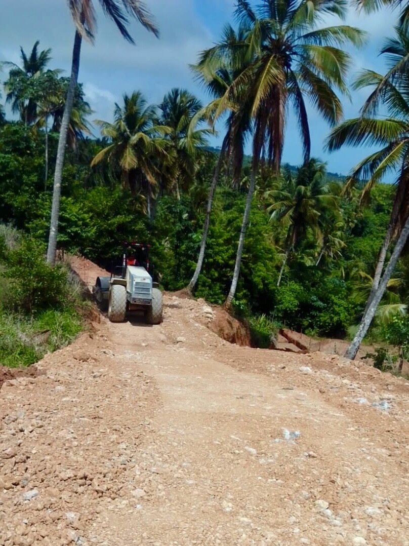 A roller and a compactor working a newly cut road climbing between tall coconut palms