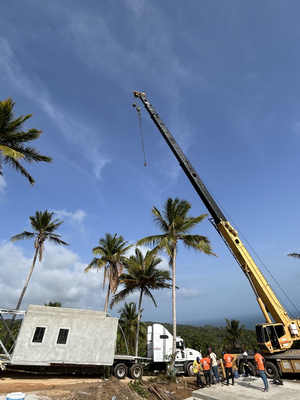 A mobile crane boom lifting a structural element above palm trees