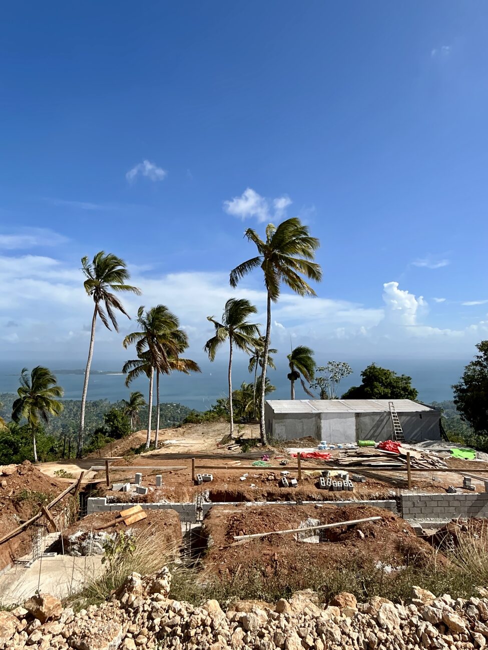 Hillside site with concrete house structures under construction among palm trees, ocean in the distance