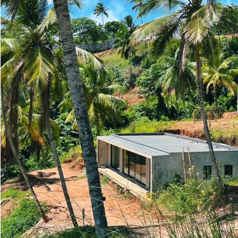 A Flat House with full-height glazing installed, seen from below through coconut palm trunks