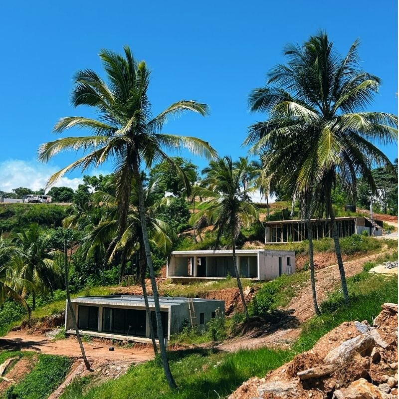 Two Flat House structures on terraced ground among tall coconut palms, the lower one with its glazing frames in place