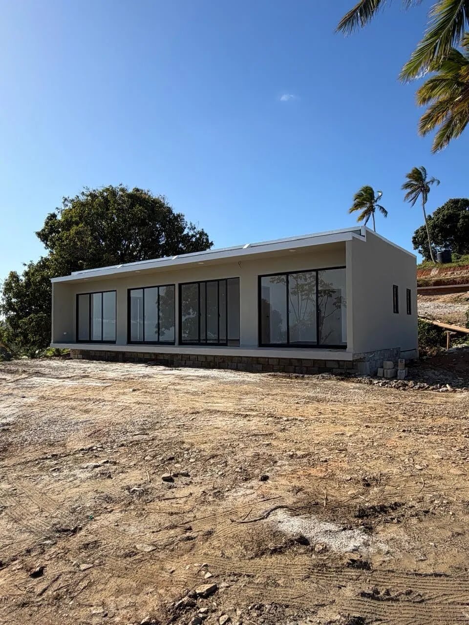 A completed single-storey Flat House with a stone plinth and a run of full-height black-framed sliding doors, palms behind